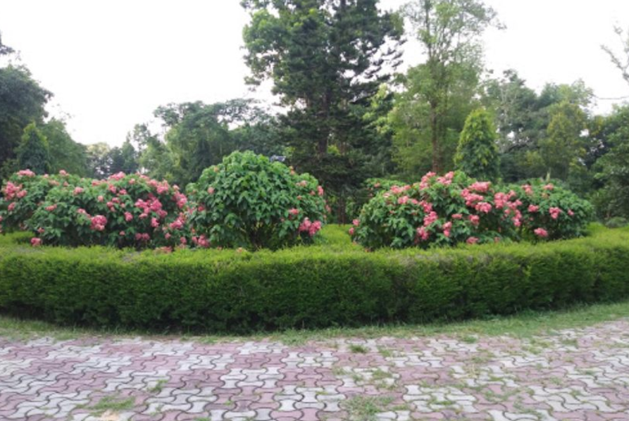 Botanical Eco-Park in Kalimpong